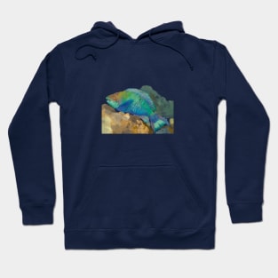 Spectacled Parrotfish, Uhu in Hawaiian Hoodie